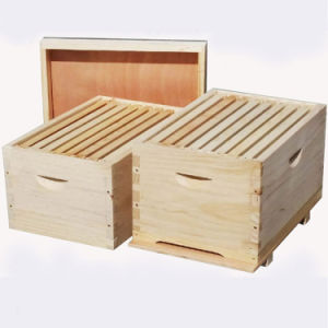 Double bee crate